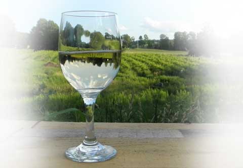 White Wine